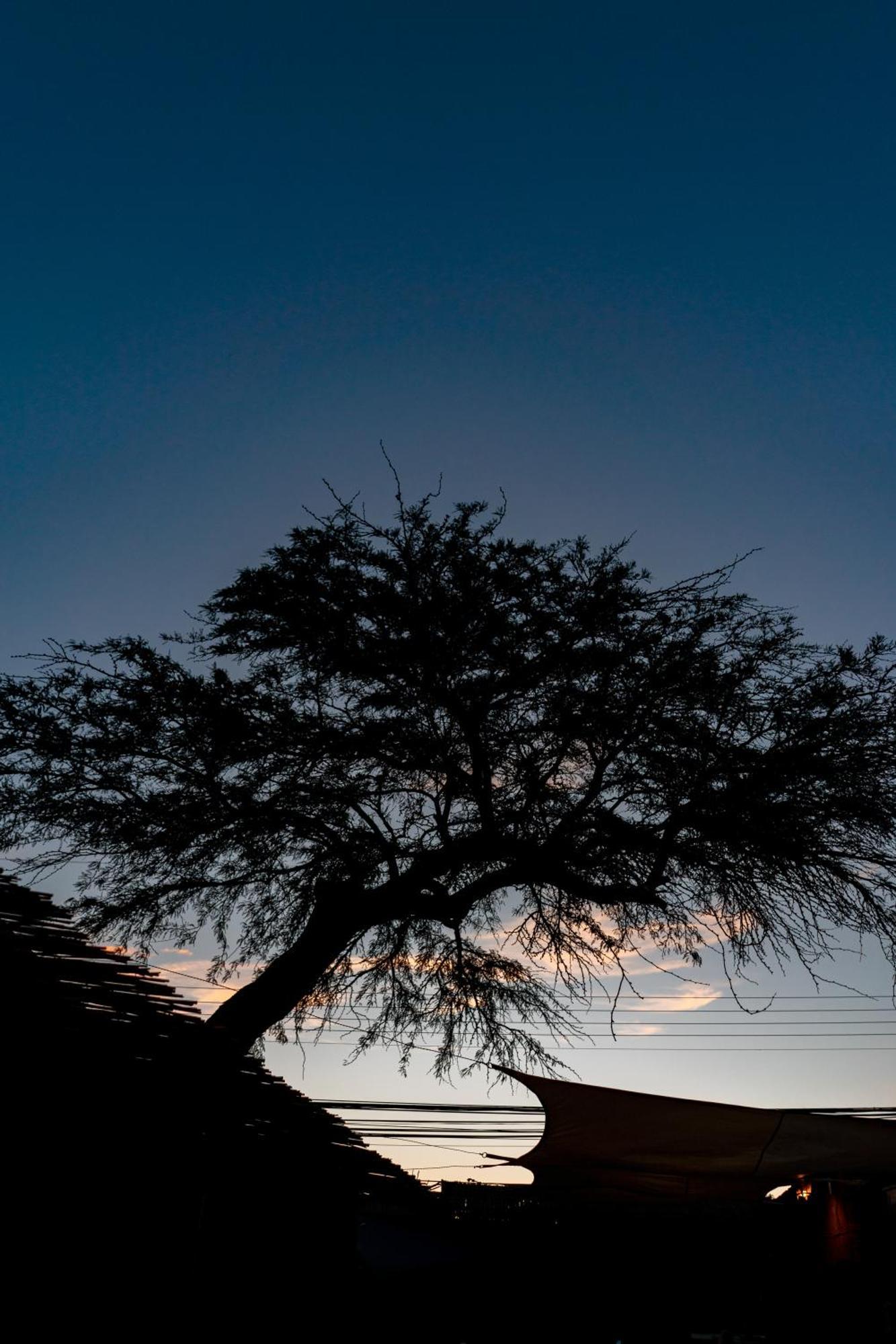Hostal Katarpe San Pedro de Atacama Exterior foto