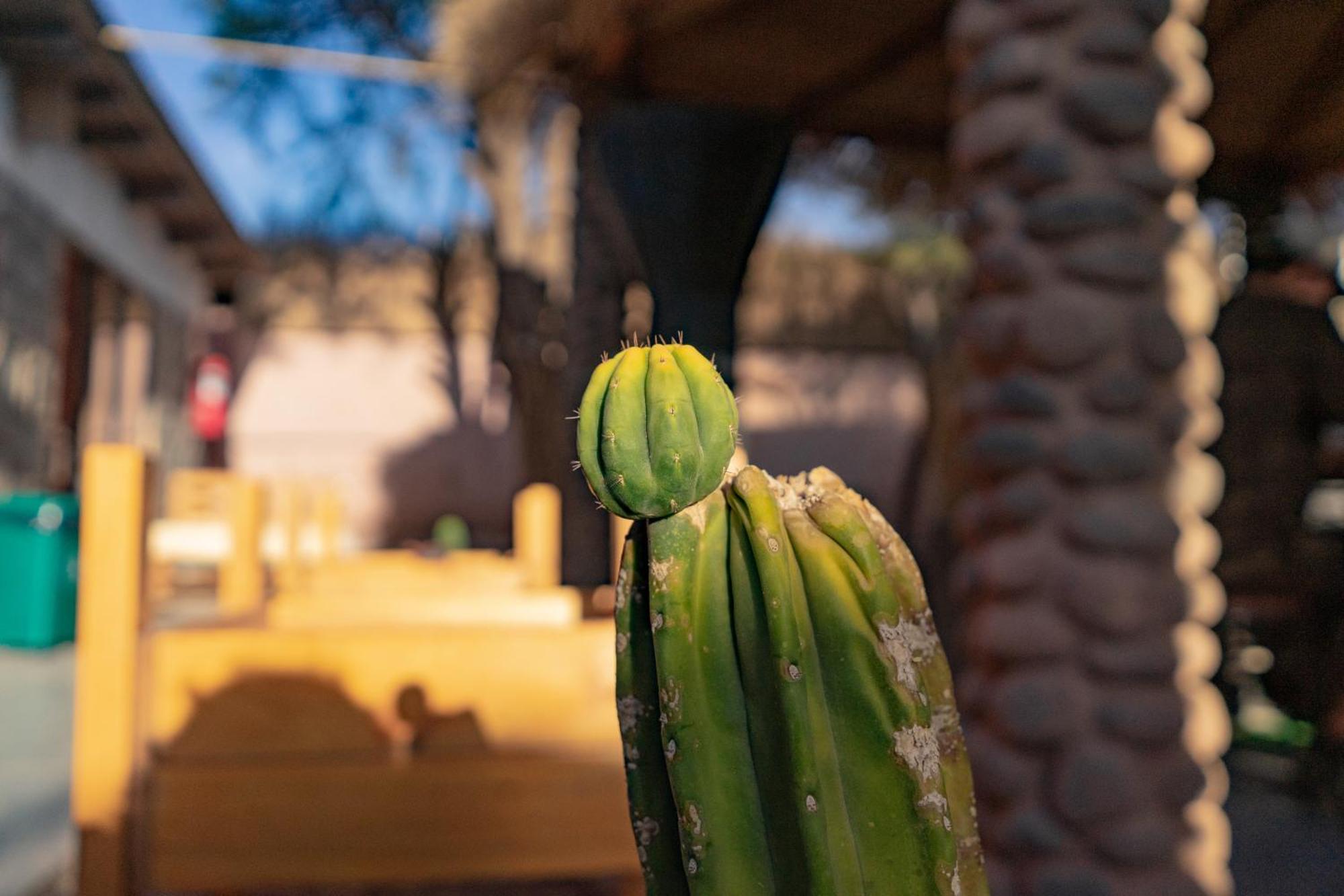 Hostal Katarpe San Pedro de Atacama Exterior foto